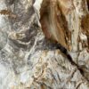 Memorial stone petrified wood 47062