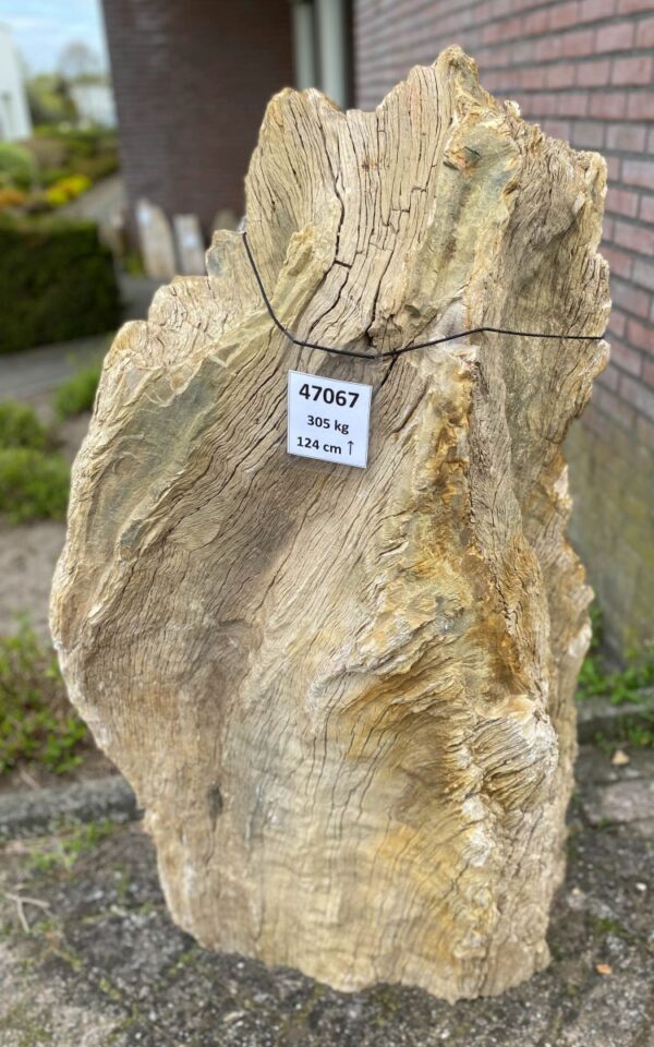 Memorial stone petrified wood 47067