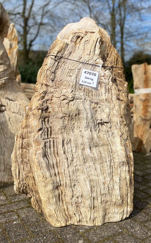 Memorial stone petrified wood 47070