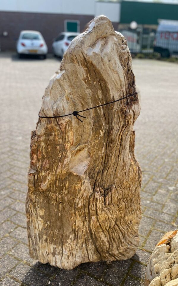 Memorial stone petrified wood 47070