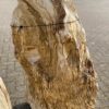 Memorial stone petrified wood 47070
