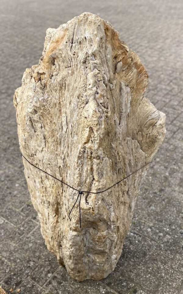 Memorial stone petrified wood 47072