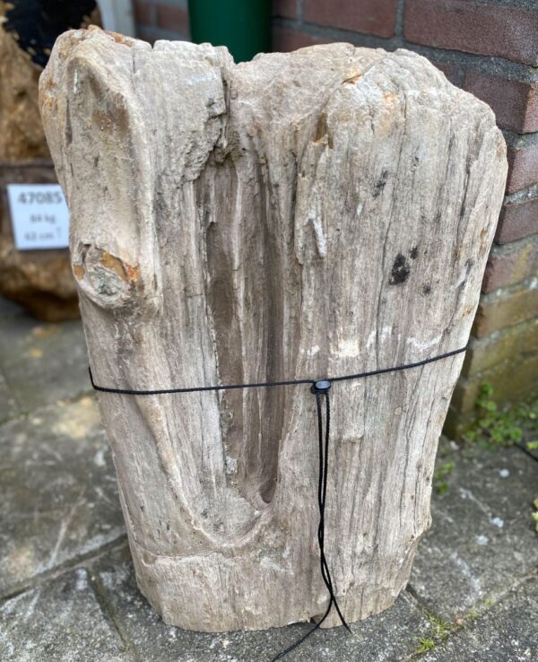 Memorial stone petrified wood 47078