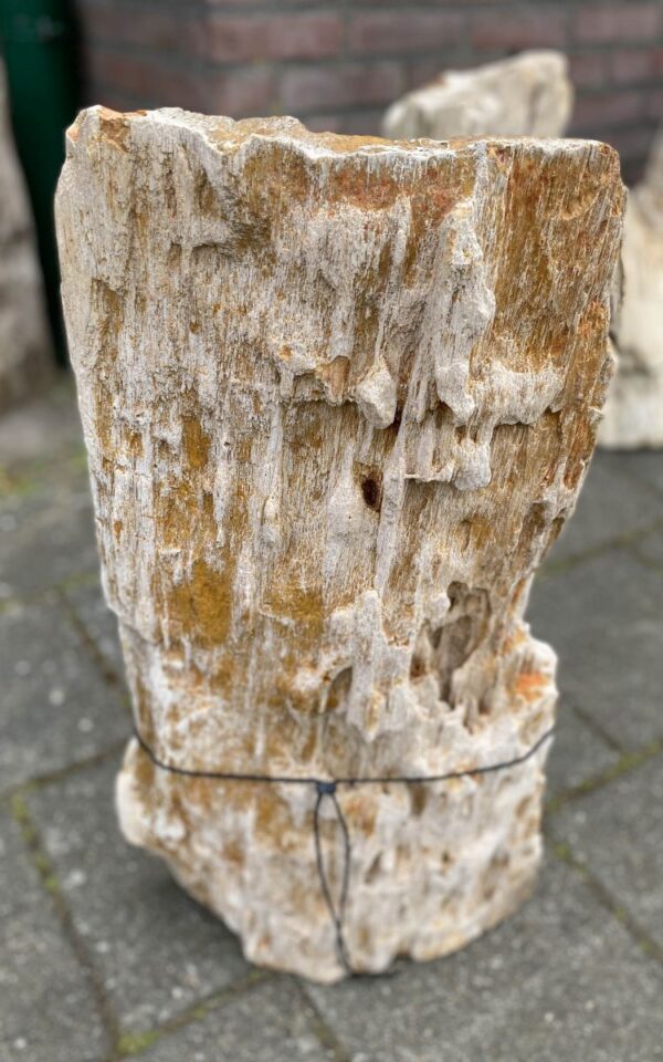 Memorial stone petrified wood 47086