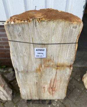 Memorial stone petrified wood 47092