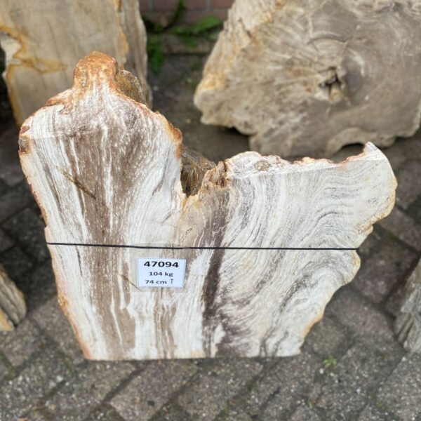 Memorial stone petrified wood 47094