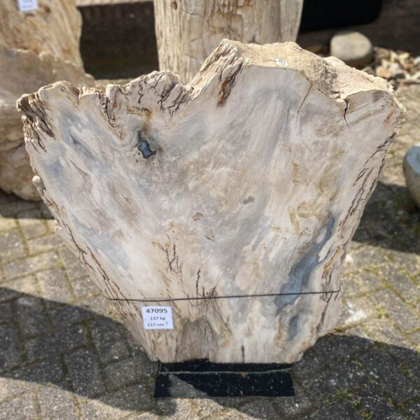Memorial stone petrified wood 47096