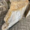 Memorial stone petrified wood 47098
