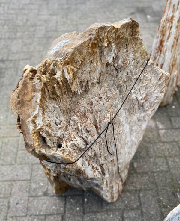 Memorial stone petrified wood 47101