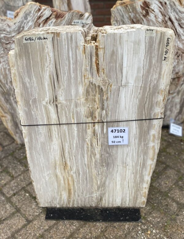 Memorial stone petrified wood 47102