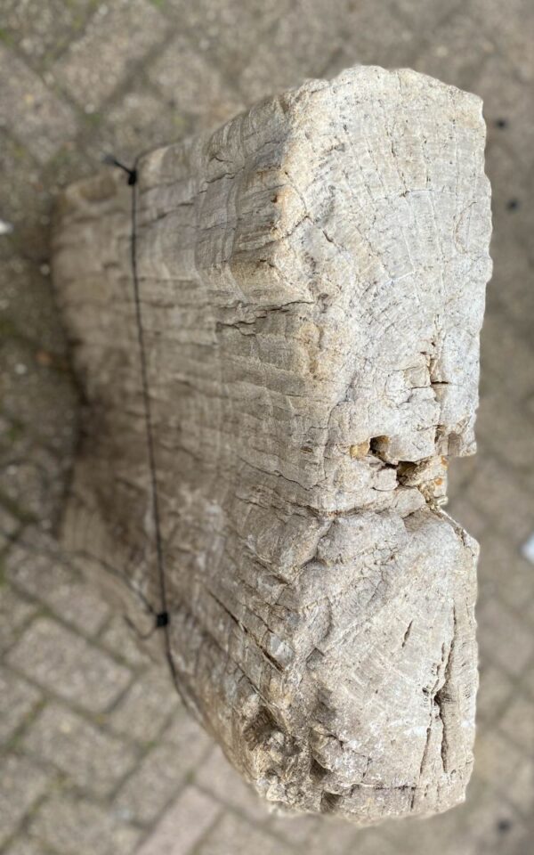 Memorial stone petrified wood 47102