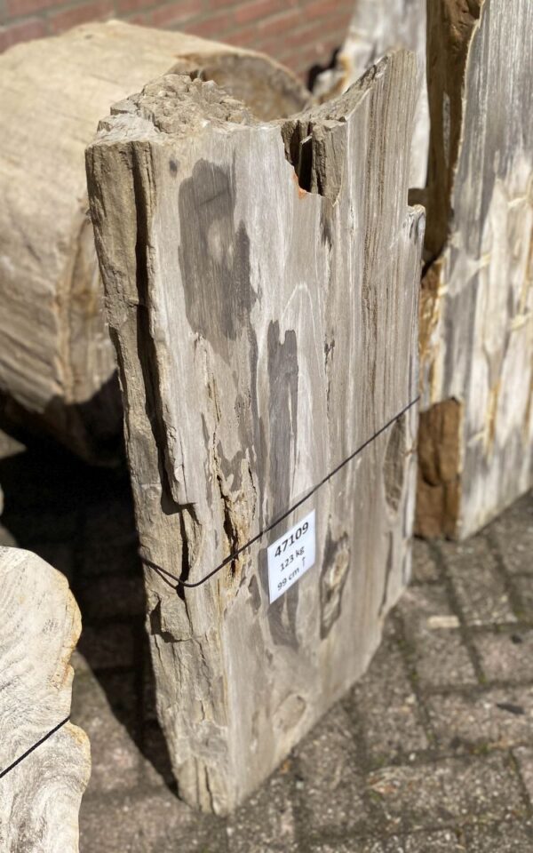 Memorial stone petrified wood 47109