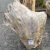 Pierre tombale bois pétrifié 46083