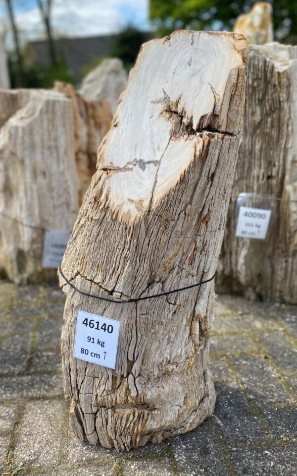 Pierre tombale bois pétrifié 46140
