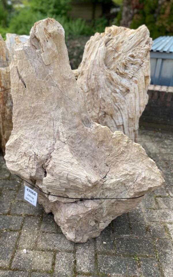 Pierre tombale bois pétrifié 47064