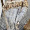 Pierre tombale bois pétrifié 47105