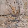 Waschbecke versteinertes Holz 47168