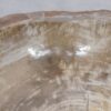 Lavabo bois pétrifié 48317
