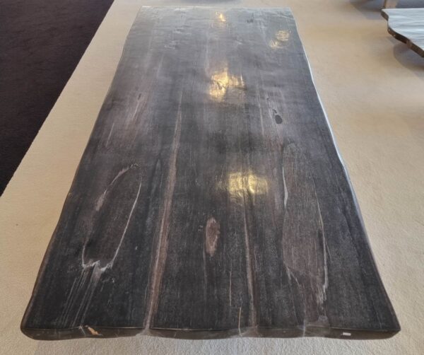 Table en bois pétrifié 45145