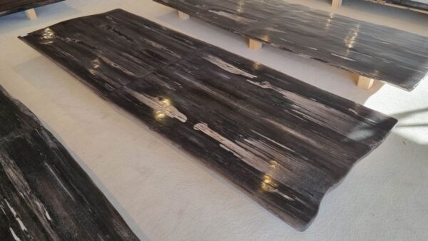 Table top petrified wood 45231