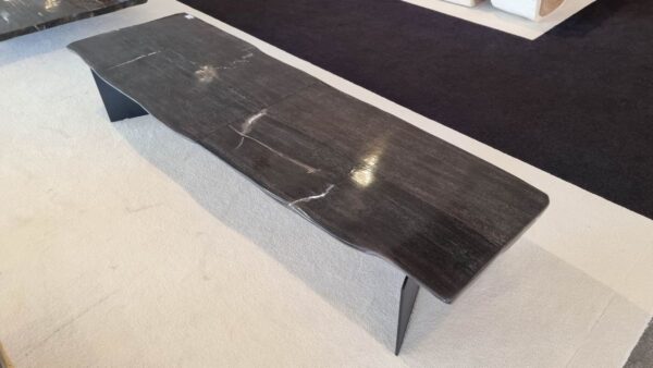 Table top petrified wood 45235
