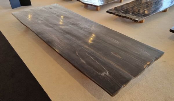 Tafelblad versteend hout 45145