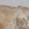 Waschbecke versteinertes Holz 48276