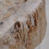 Waschbecke versteinertes Holz 48278