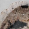 Waschbecke versteinertes Holz 48278