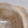 Waschbecke versteinertes Holz 48321