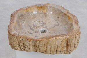 Waschbecke versteinertes Holz 48323