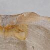 Wash hand basin petrified wood 48323