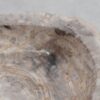 Wastafel versteend hout 48279