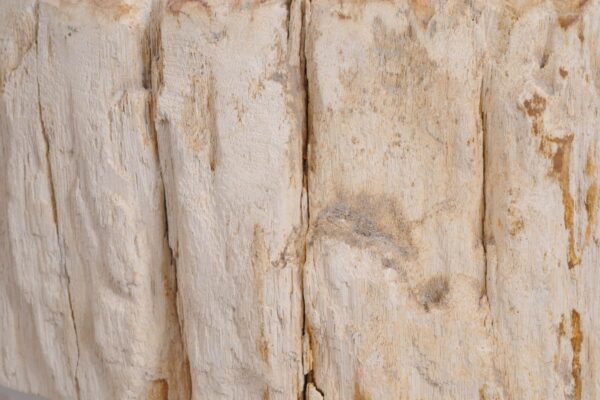Wastafel versteend hout 48294