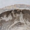 Wastafel versteend hout 48322