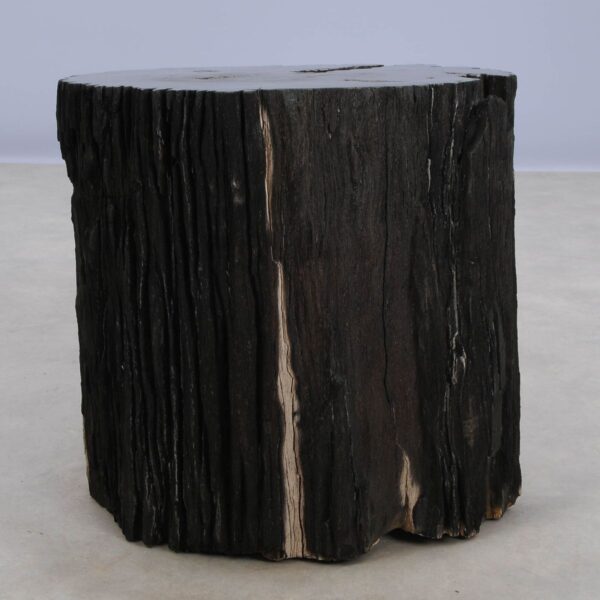 Beistelltisch versteinertes Holz 47024