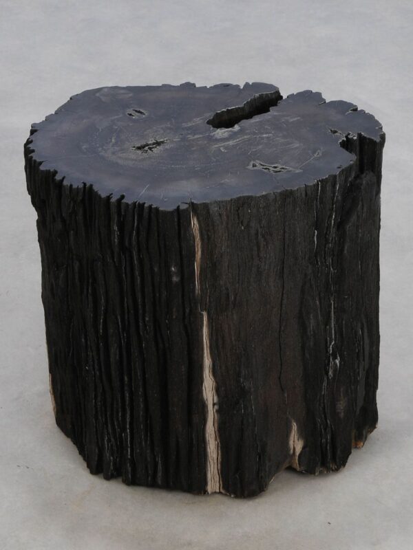 Beistelltisch versteinertes Holz 47024