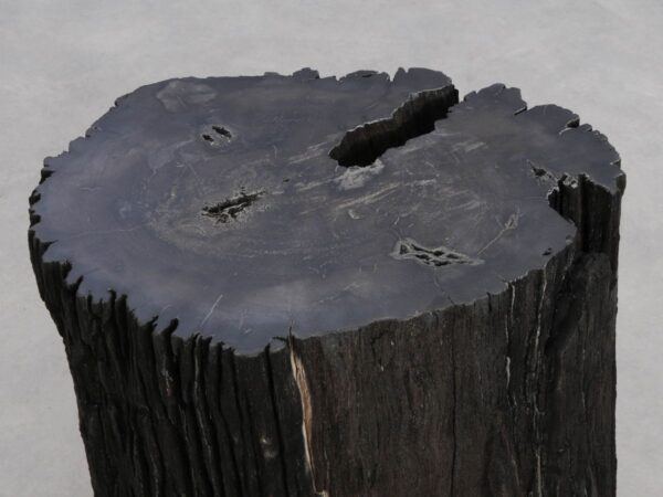Beistelltisch versteinertes Holz 47024