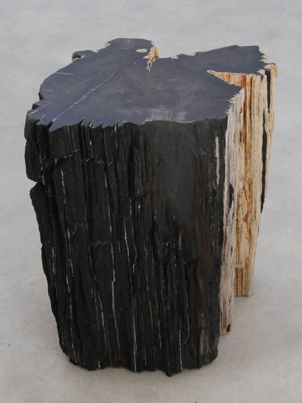 Beistelltisch versteinertes Holz 47026