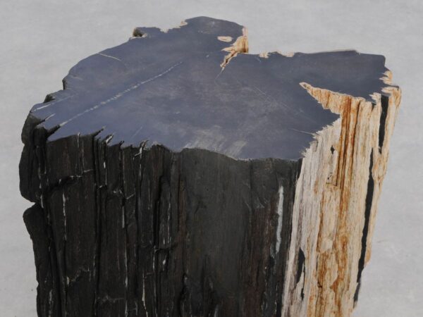 Beistelltisch versteinertes Holz 47026