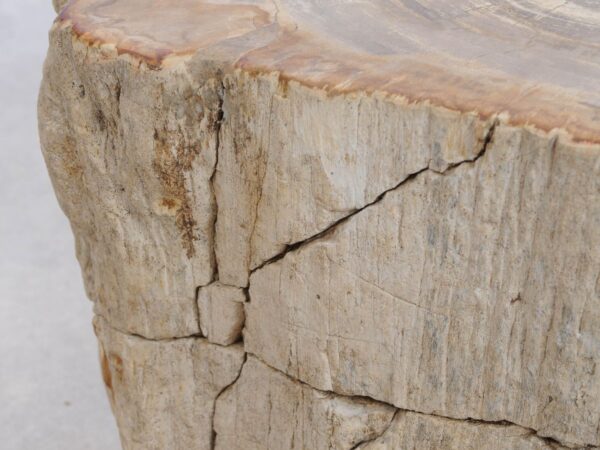 Beistelltisch versteinertes Holz 48002