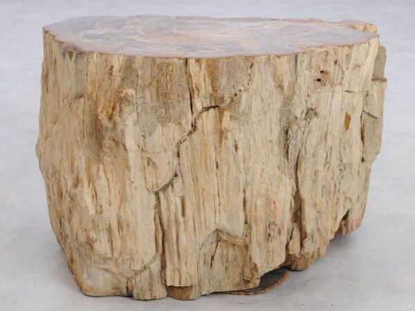 Beistelltisch versteinertes Holz 48003