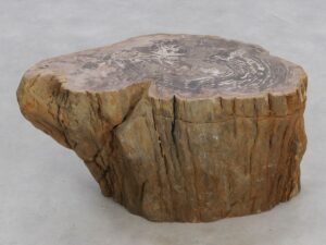 Beistelltisch versteinertes Holz 48004