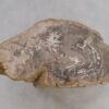 Beistelltisch versteinertes Holz 48004
