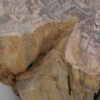 Beistelltisch versteinertes Holz 48004