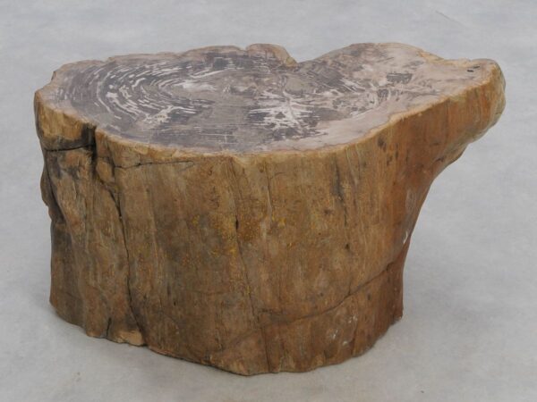 Beistelltisch versteinertes Holz 48004