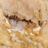 Beistelltisch versteinertes Holz 48005