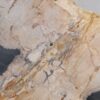 Beistelltisch versteinertes Holz 48005