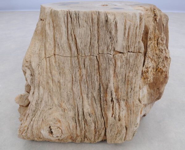 Beistelltisch versteinertes Holz 48008