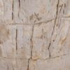 Beistelltisch versteinertes Holz 48011